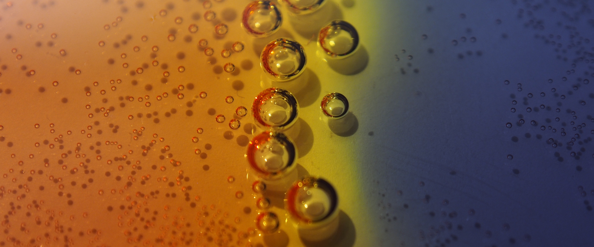 Nano Encapsulation